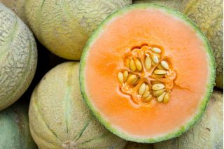 Melon Bosman