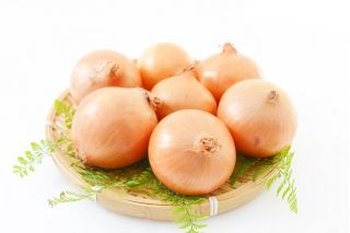 Cebula Yellow Sweet Spanish - słodka, hiszpańska cebula