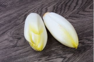 Cykoria sałatowa Di Bruxelles
