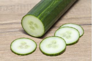 Ogórek Telegraph Improved - sałatkowy, bardzo długi, nawet ponad 40 cm