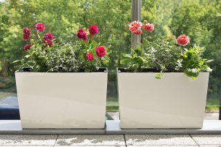 Kwietnik Werbena - 19 x 56 cm - kremowy