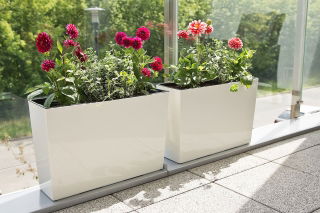 Kwietnik Werbena - 19 x 56 cm - kremowy