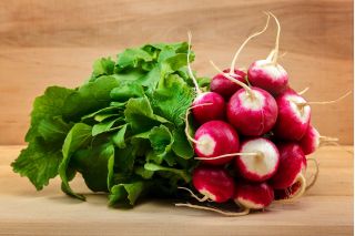 BIO Rzodkiewka National 2 - Certyfikowane nasiona ekologiczne