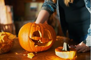 Dynia ozdobna Halloween - najlepsza do rzeźbienia