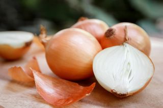 BIO Cebula - Certyfikowane nasiona ekologiczne