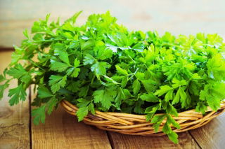 Pietruszka naciowa Natalka - gładkie i aromatyczne liście