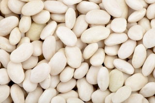 Fasola Igołomska - 500 g