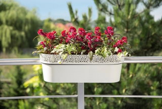 Skrzynka balkonowa z koronkowym wykończeniem, ażurowa Rosa - 50 cm - miętowa