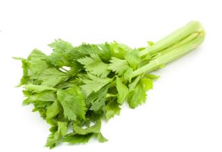 Seler listkowy Green cutting - na susz