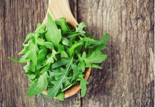 BIO Rukola - Certyfikowane nasiona ekologiczne