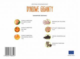 Zestaw rozsadowy 'Dyniowe giganty' - zrób sadzonki z nasion - Box L
