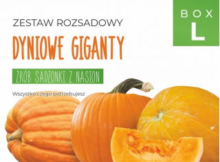 Zestaw rozsadowy 'Dyniowe giganty' - zrób sadzonki z nasion - Box L