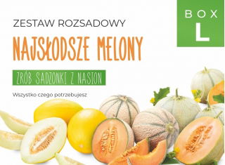 Zestaw rozsadowy 'Najsłodsze melony' - zrób sadzonki z nasion - Box L