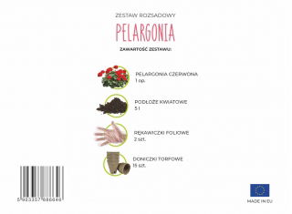 Zestaw rozsadowy 'Pelargonia' - zrób sadzonki z nasion - Box S