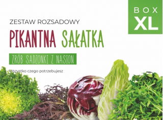 Zestaw rozsadowy 'Pikantna sałatka' - zrób sadzonki z nasion - Box XL
