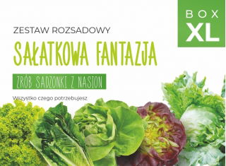 Zestaw rozsadowy 'Sałatkowa fantazja' - zrób sadzonki z nasion - Box XL