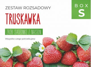 Zestaw rozsadowy 'Truskawka' - zrób sadzonki z nasion - Box S