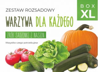 Zestaw rozsadowy 'Warzywa dla każdego' - zrób sadzonki z nasion - Box XL
