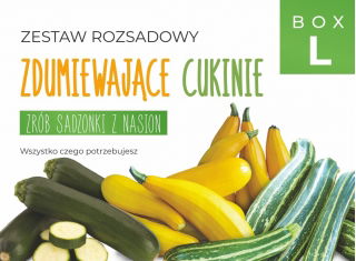 Zestaw rozsadowy 'Zdumiewające cukinie' - zrób sadzonki z nasion - Box L