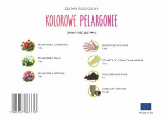 Zestaw rozsadowy 'Kolorowe pelargonie' - zrób sadzonki z nasion - Box L