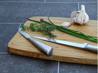 BIO Szczypiorek - Certyfikowane nasiona ekologiczne