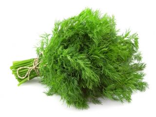 BIO Koper ogrodowy - Certyfikowane nasiona ekologiczne
