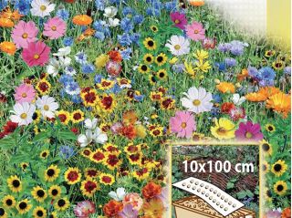 Tęczowa Rabatka - mieszanka kwiatów jednorocznych do skrzynek, na obwódki - Mata 10x100cm