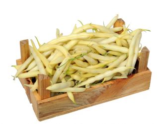 BIO Fasola szparagowa Fructidor - Certyfikowane nasiona ekologiczne