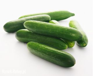 BIO Ogórek sałatkowy - Certyfikowane nasiona ekologiczne