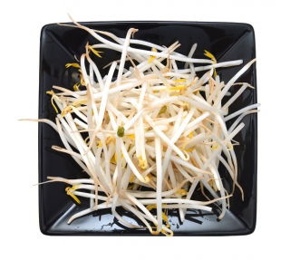 BIO Nasiona na kiełki - Fasola Mung - certyfikowane nasiona ekologiczne