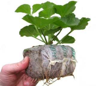 Pęczniejąca doniczka torfowa - GrowBlock - 50x50 mm - 408 szt.