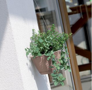 Doniczka wisząca z nierdzewnym łańcuszkiem okrągła + podstawka Ratolla - 22 cm - biała
