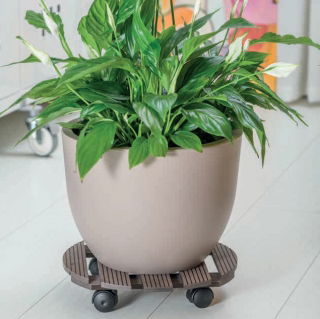 Podstawka na kółkach do przenoszenia dużych donic - okrągła - 30 cm - brąz