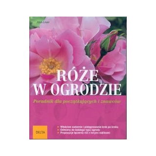 Róże w ogrodzie - PRZESYŁKA GRATIS