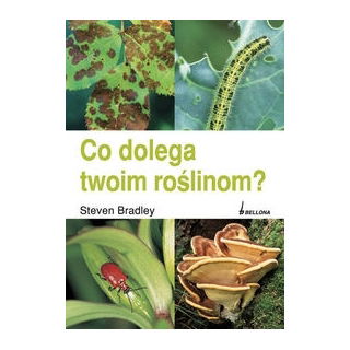 CO DOLEGA TWOIM ROŚLINOM?