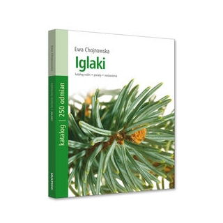 Iglaki