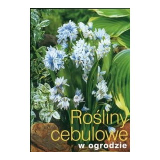 Rośliny cebulowe