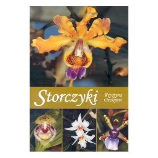 Storczyki - PRZESYŁKA GRATIS
