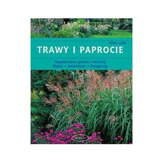 Trawy i paprocie