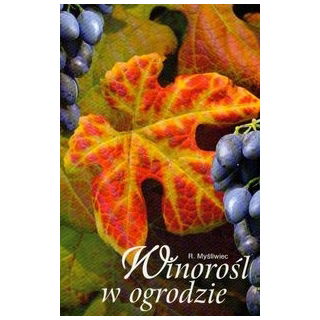 Winorośl w ogrodzie