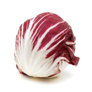 Cykoria sałatowa Palla Rossa 3
