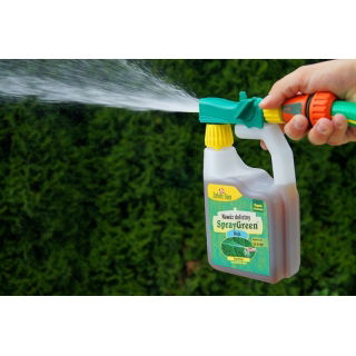 Nawóz dolistny do thui, żywotników - gotowa do użycia konewka - Zielony Dom - 950 ml