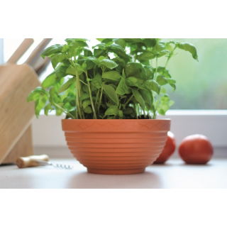Doniczka niska Misa śr. 15 cm - terakota