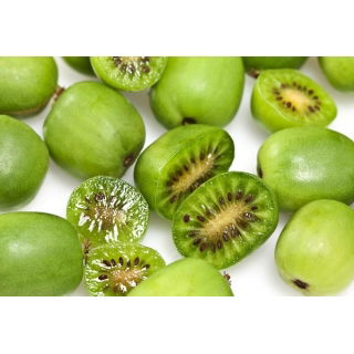 Aktinidia ostrolistna, Kiwi - Issai - sadzonka