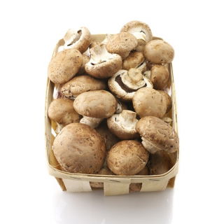 Pieczarka brązowa do uprawy w domu i ogrodzie - 10 kg