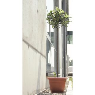 Doniczka zewnętrzna Terra śr. 25 cm + podstawka - terakota