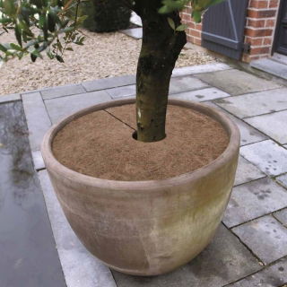 Osłona przed zimnem na korzenie z maty kokosowej - śr. 60 cm - 3 szt.