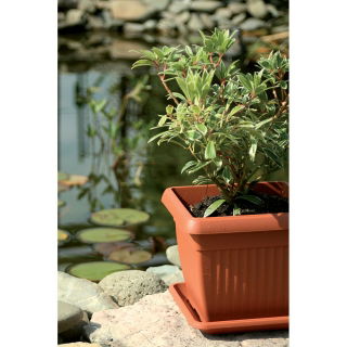 Doniczka zewnętrzna kwadratowa Terra 15 cm + podstawka - terakota