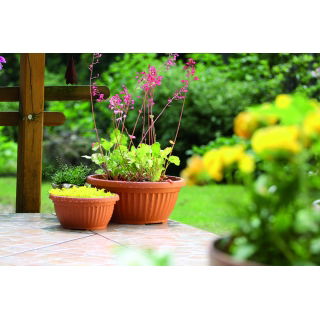 Doniczka zewnętrzna niska Terra śr. 20 cm - terakota