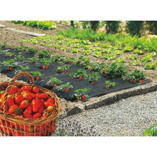 Folia perforowana pod truskawki - 1,4 m x 10 m